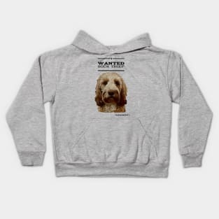 Cockapoo / Doodle Dog Sock Thief Kids Hoodie